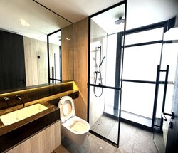 The Hyde (D10), Condominium #432298321